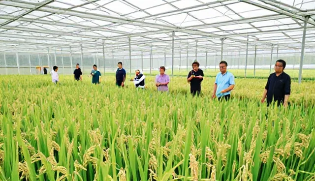 种植技术指导的5大检查要点与使用建议